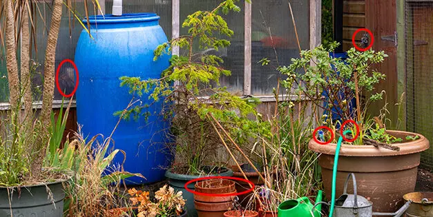 Signs You’re Probably Not Taking Homesteading Seriously