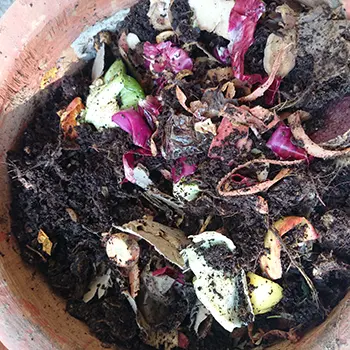 use clay pots as compost bins