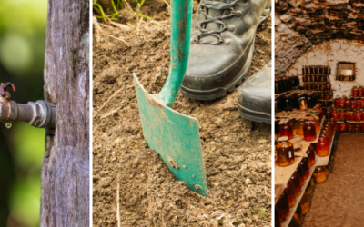 9 Skills Every Homesteader Must Have To Outlive A Crisis