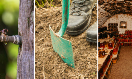 9 Skills Every Homesteader Must Have To Outlive A Crisis