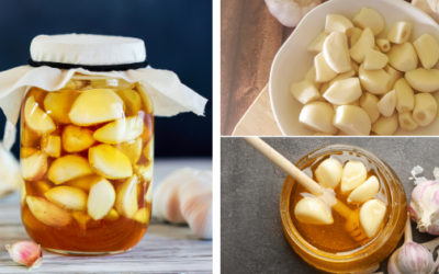 DIY Fermented Garlic In Honey