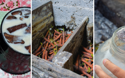 How People Stored Food In the 1800s
