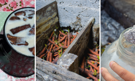 How People Stored Food In the 1800s