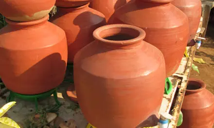 Ingenious Ways I Use Clay Pots in My Homestead