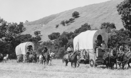 Pioneer Skills That Are Slowly Dying (But Shouldn’t)