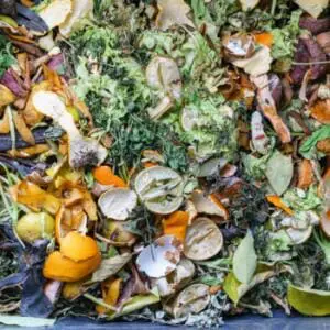 Fruit scraps