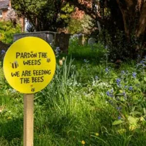 pollination garden