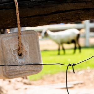 livestock mineral with a goat in the background