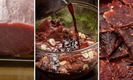 DIY Beef Jerky Recipe