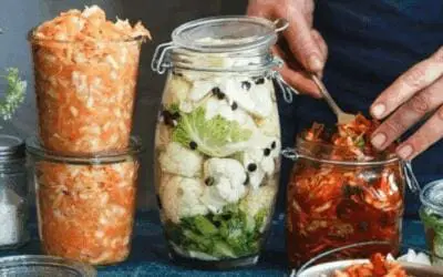 Fermented Foods for Gut Health: A Guide to Building Immunity and Self-Sufficiency