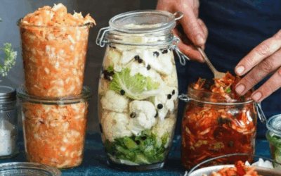 Fermented Foods for Gut Health: A Guide to Building Immunity and Self-Sufficiency