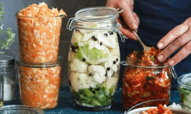 Fermented Foods for Gut Health: A Guide to Building Immunity and Self-Sufficiency