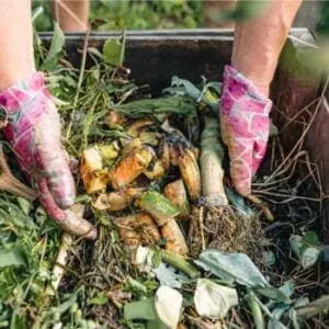 speed up compost