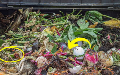 How Do You Speed Up Composting