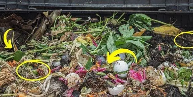 How Do You Speed Up Composting