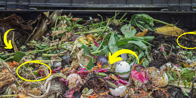 How Do You Speed Up Composting