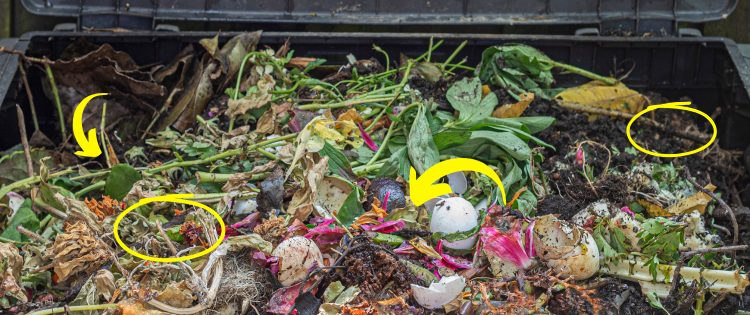 How Do You Speed Up Composting