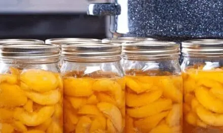How to Can Peaches