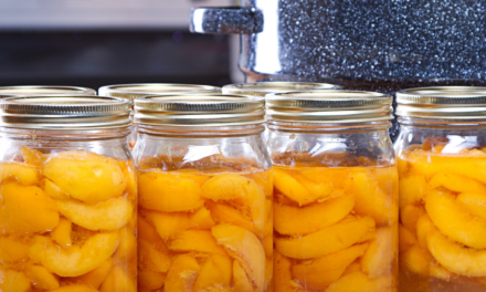 How to Can Peaches