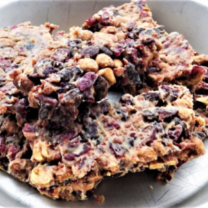 pemmican slices on a plate