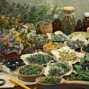 medicinal herbs and plants
