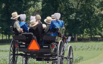 Ingenious Hacks I Learned from the Amish