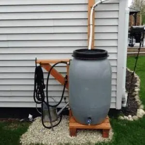 rainwater collection barrel