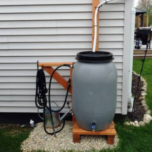 rainwater collection barrel