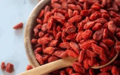 The Ultimate Guide to Growing Goji Berries: A Superfood in Your Backyard
