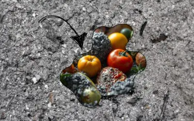 Why You Should Bury Your Food in Ash