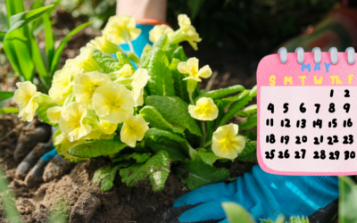 Grandma’s May Planting Guide: The Flowers & Veggies She Swore By