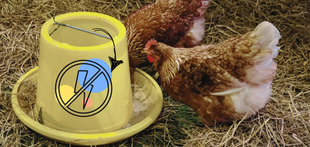 Automatic Chicken Feeder That Needs No Electricity: How Do You Make It?
