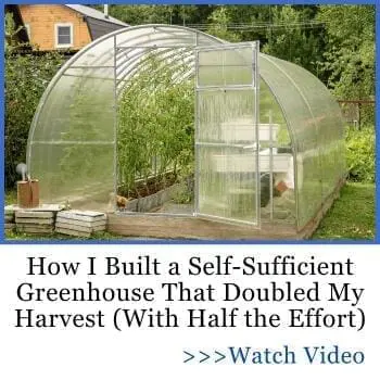 How I build a self-sufficient greenhouse that doubled my harvest