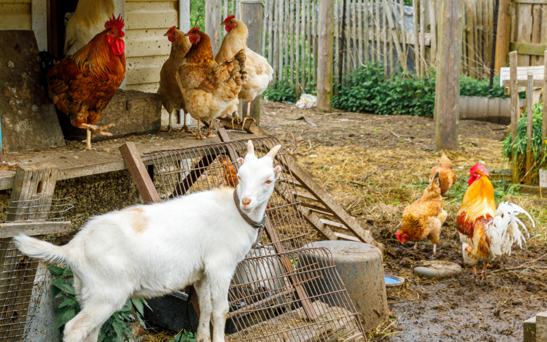 The Best Guardian Animals for Your Homestead (Besides Dogs)