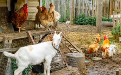 The Best Guardian Animals for Your Homestead (Besides Dogs)