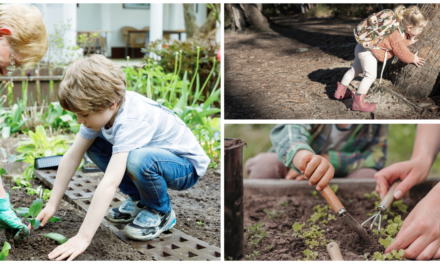 Ways to Teach Your Kids Homesteading Skills That Will Last a Lifetime