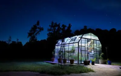 What Is a Freestanding Greenhouse? Everything You Need to Know
