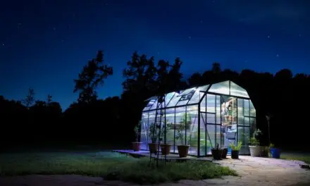 What Is a Freestanding Greenhouse? Everything You Need to Know