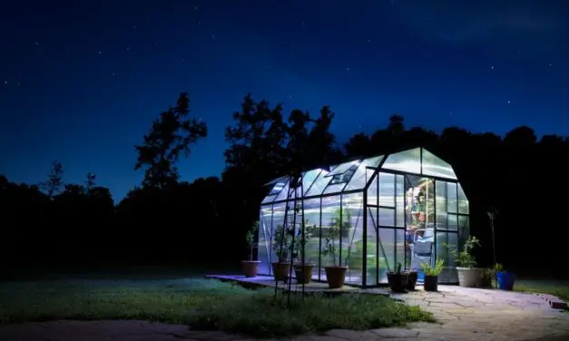 What Is a Freestanding Greenhouse? Everything You Need to Know