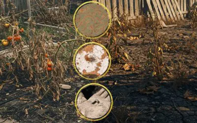 The Silent Killers Living in Your Garden