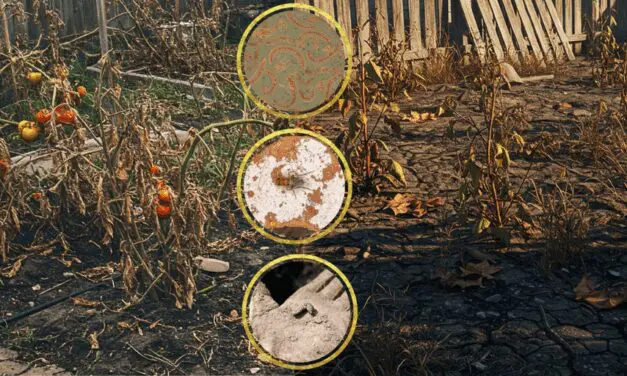 The Silent Killers Living in Your Garden