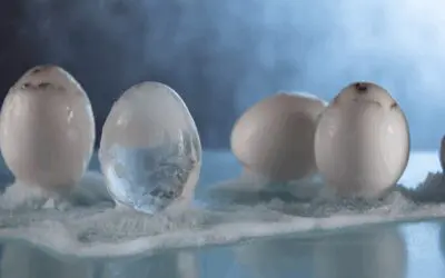 Can You Freeze Eggs? What Every Homesteader Should Know