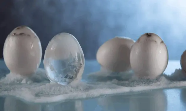 Can You Freeze Eggs? What Every Homesteader Should Know