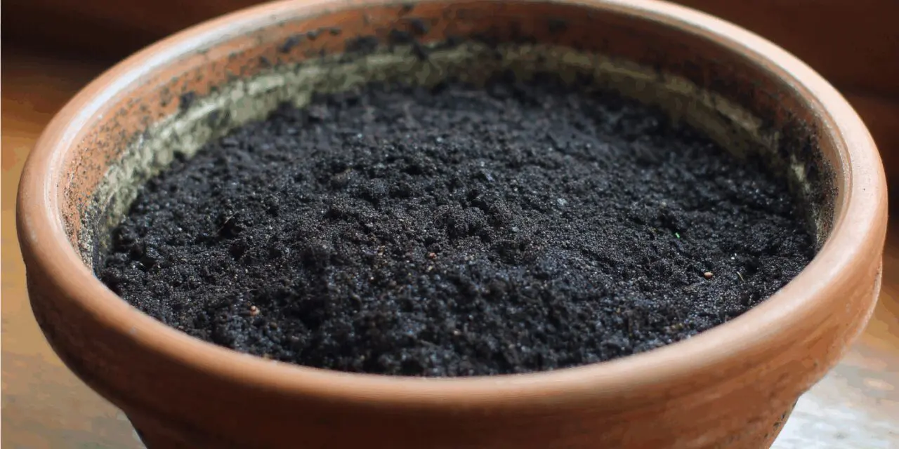 Does Potting Soil Go Bad? The “Simple” Answer!