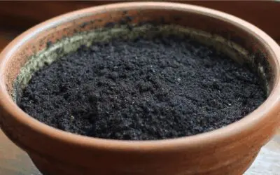 Does Potting Soil Go Bad? The “Simple” Answer!