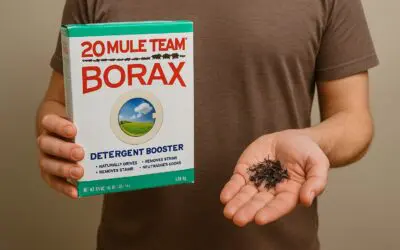 Borax Ant Killer: A Simple, Natural Way to Reclaim Your Home