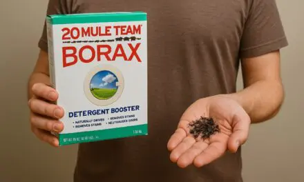 Borax Ant Killer: A Simple, Natural Way to Reclaim Your Home