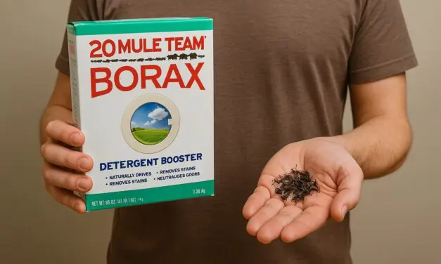 Borax Ant Killer: A Simple, Natural Way to Reclaim Your Home