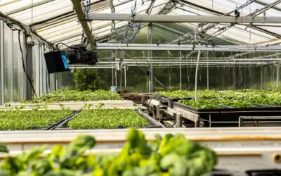 Can You Do Electroculture in a Greenhouse?