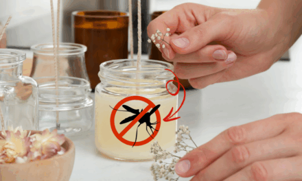 DIY Mosquito Repellent Candles